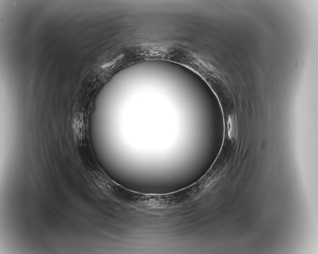 X0000085761395200703161107
