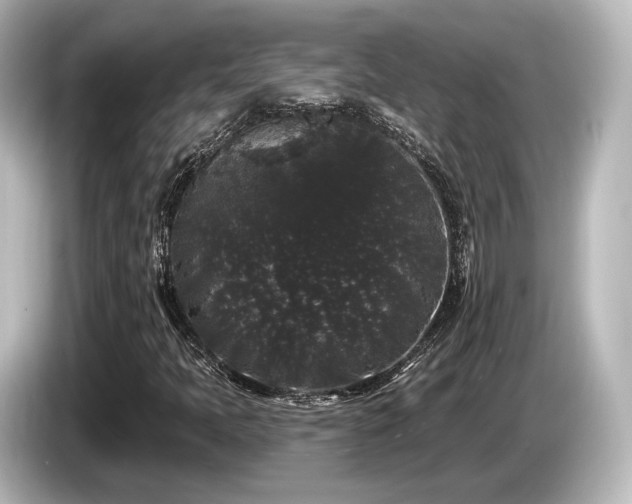 X0000085761397200703161107