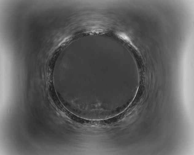 X0000085761399200703161107