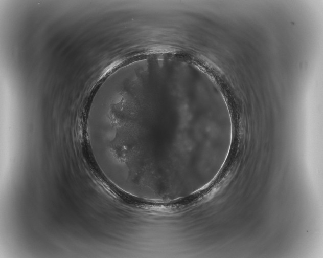 X0000085761401200703161107