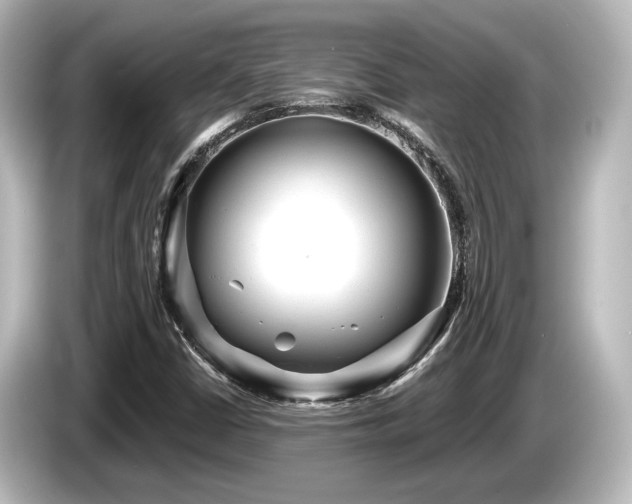 X0000085761402200703161107