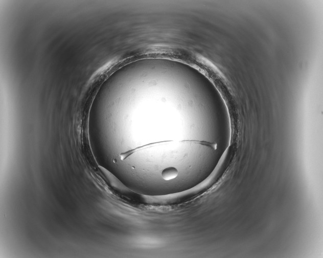 X0000085761403200703161107
