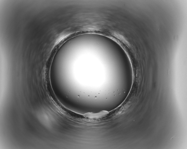 X0000085761404200703161107