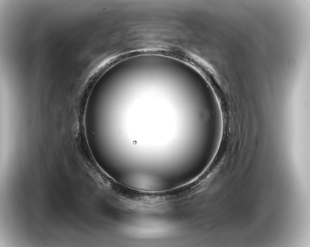 X0000085761407200703161107