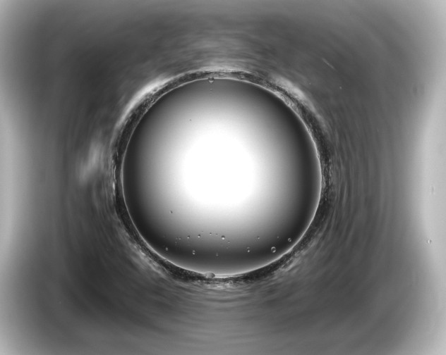 X0000085761408200703161107