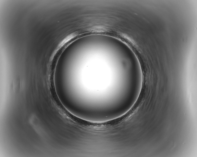 X0000085761410200703161107