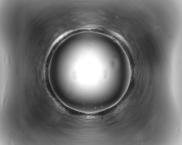X0000085761412200703161107