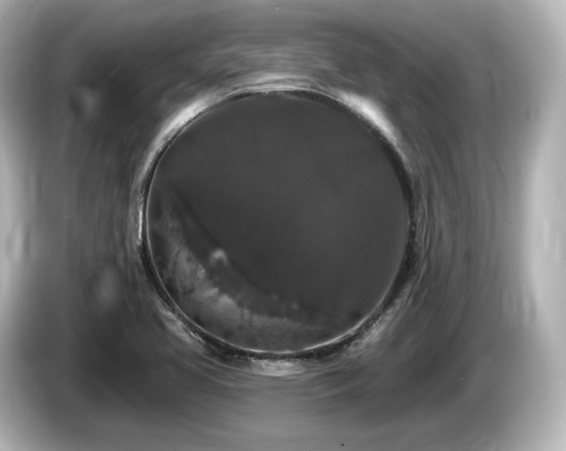 X0000085761413200703161107