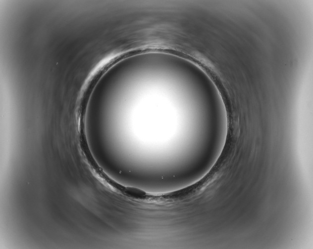 X0000085761416200703161107