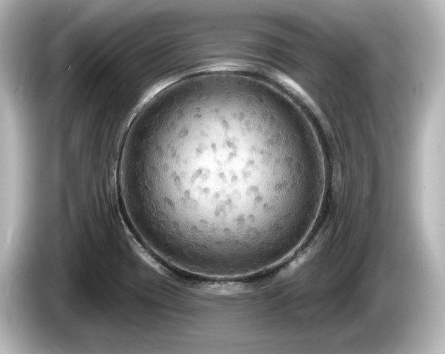 X0000085761417200703161107