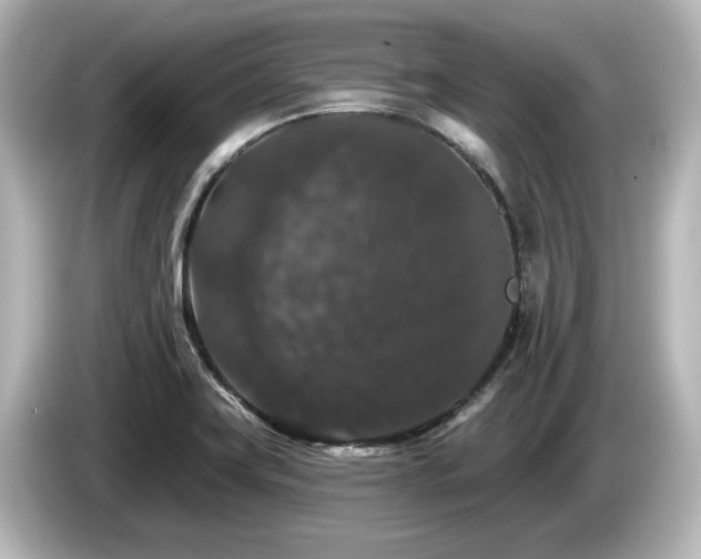 X0000085761419200703161107