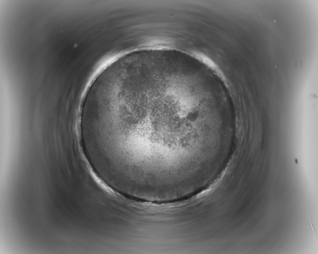 X0000085761421200703161107