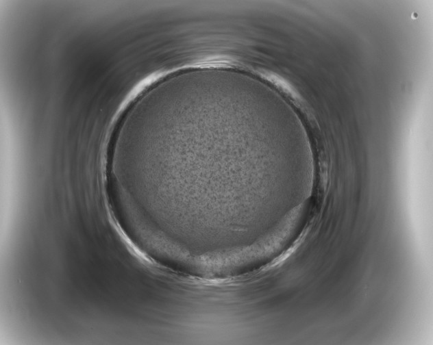 X0000085761422200703161107