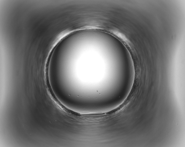 X0000085761423200703161107
