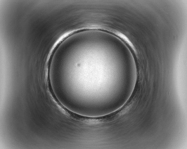 X0000085761424200703161107