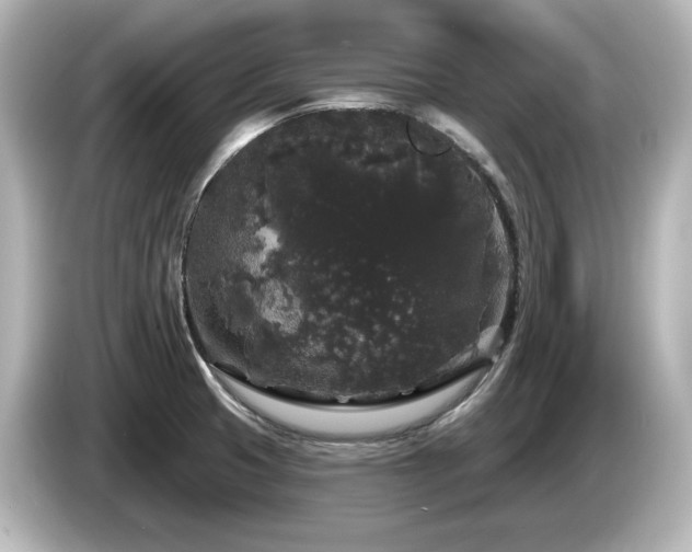 X0000085761425200703161107