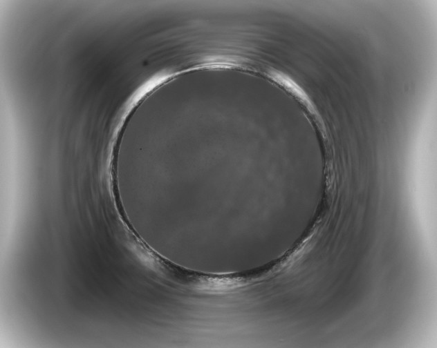 X0000085761427200703161108