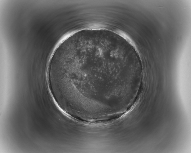 X0000085761429200703161108