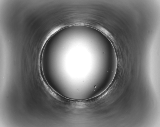 X0000085761431200703161108