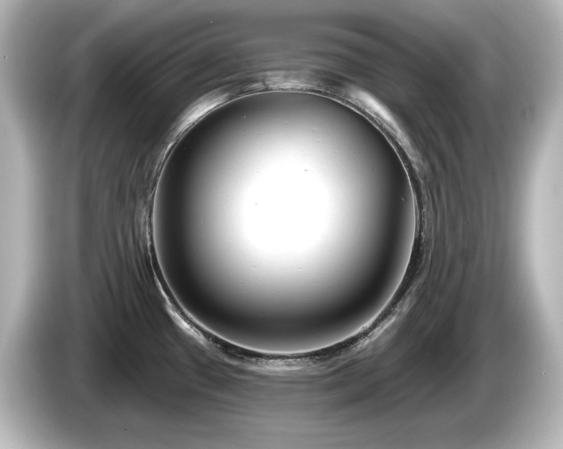 X0000085761433200703161108