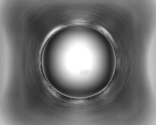 X0000085761435200703161108