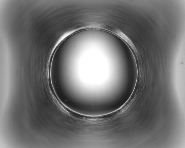 X0000085761436200703161108