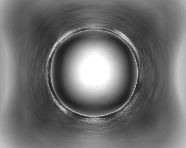 X0000085761437200703161108