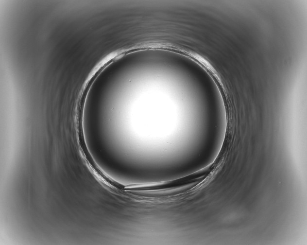 X0000085761438200703161108