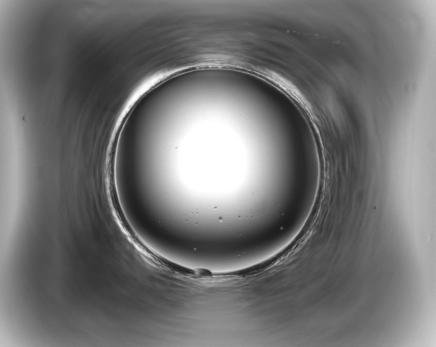 X0000085761440200703161108