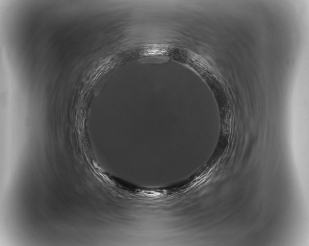 X0000085761441200703161107