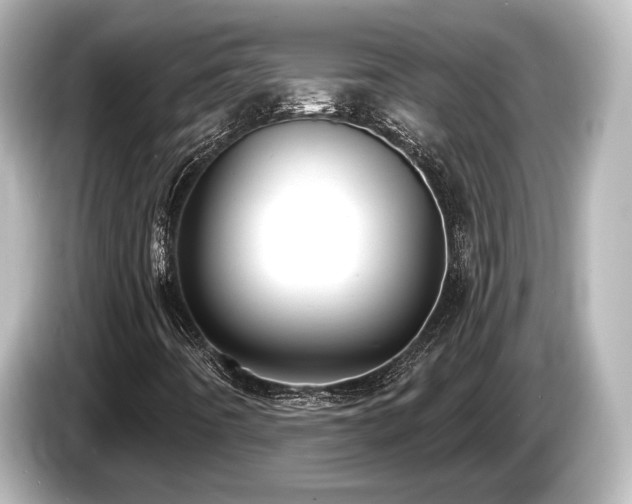 X0000085761442200703161107