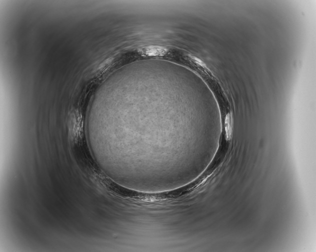 X0000085761443200703161107