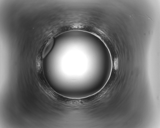 X0000085761444200703161107