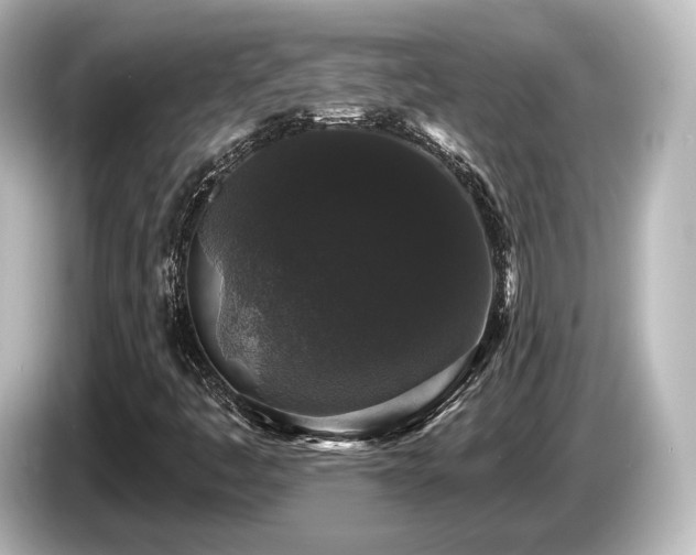 X0000085761445200703161107