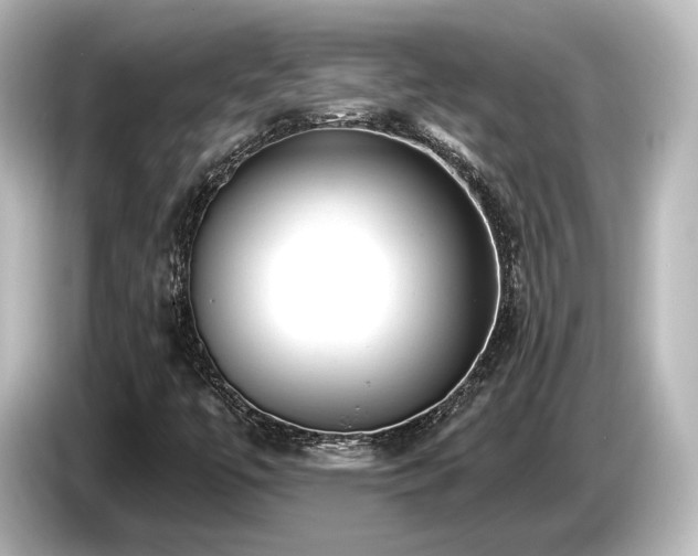 X0000085761447200703161107