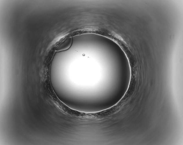 X0000085761448200703161107