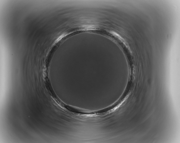 X0000085761449200703161107