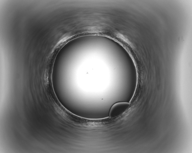 X0000085761451200703161107