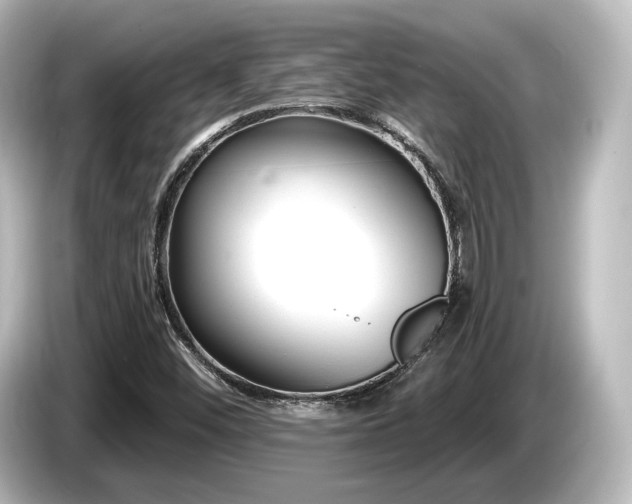 X0000085761452200703161107