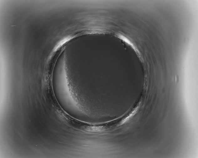 X0000085761453200703161107