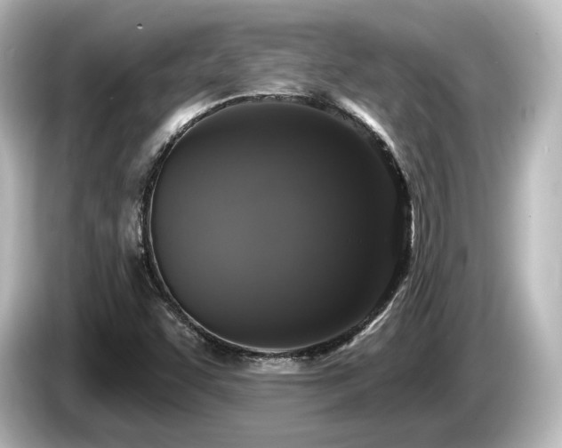 X0000085761455200703161107