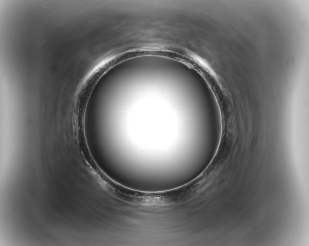 X0000085761456200703161107
