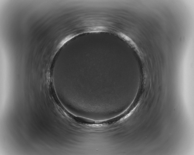 X0000085761457200703161107