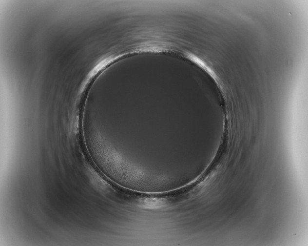 X0000085761459200703161107