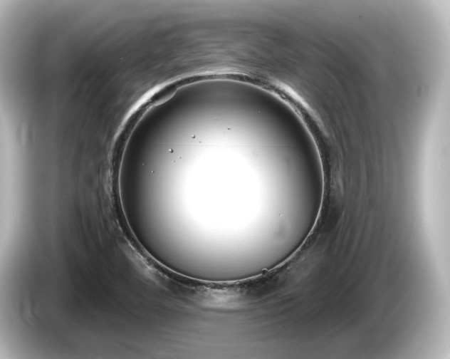 X0000085761460200703161107