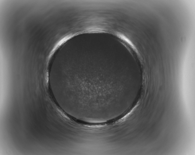 X0000085761461200703161107