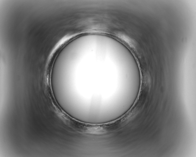 X0000085761462200703161107