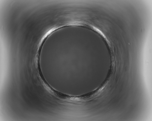 X0000085761463200703161107