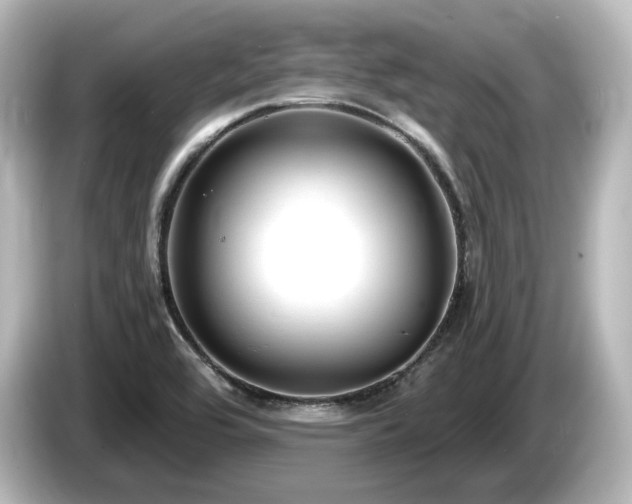X0000085761464200703161107