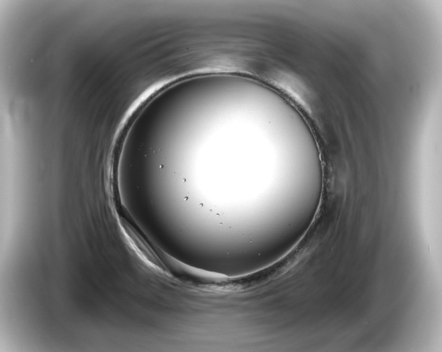 X0000085761468200703161107